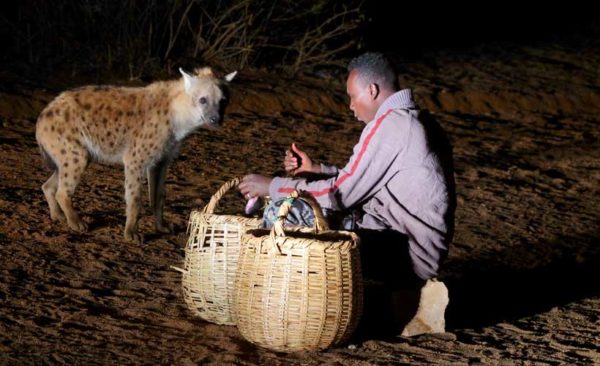 Ethiopia-hyena-man-harar