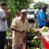 Guyana-selling-coconuts