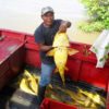 Guyana-yellow-fish