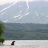 Kamchatka-Bear-sitting-Kurilskoye-Lake