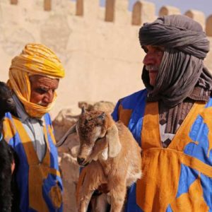 Meet goat herders holding their goats on your Morocco tours