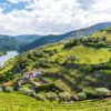 Portugal-Douro-valley