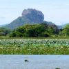 Sri-Lanka-Sigiriya-rock-from-distance