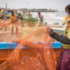 Sri-lanka-negombo-fishing-nets