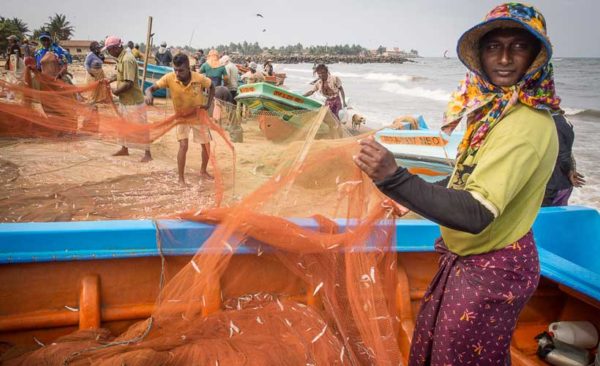 Sri-lanka-negombo-fishing-nets