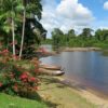 Guyana tours tropical paradise