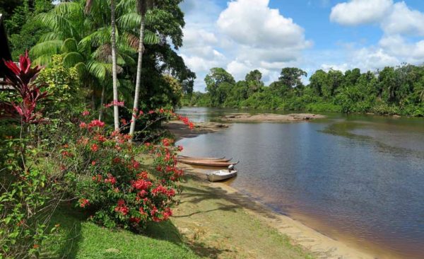 Guyana tours tropical paradise