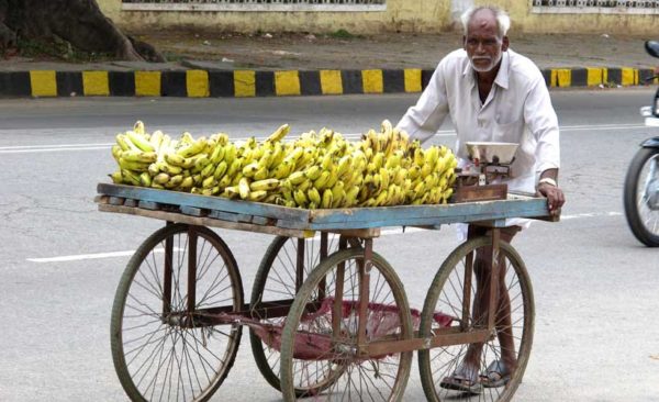 india-home-delivery-bananas