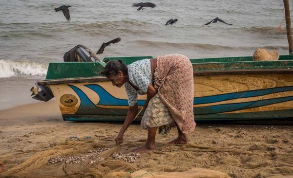 sri-lanka-lady-collecting-from-fishing-nets