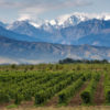 Argentina-Mendoza-winelands