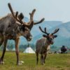 Mongolia-Reindeer-Hovsgol-lake