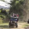 Jeeps on safari in Sri Lanka