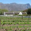 South-Africa-Cape-Town-winelands
