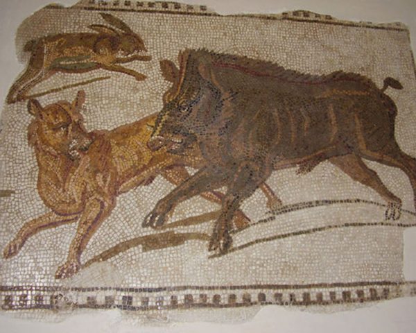 Bardo-Museum-mosaics-Tunisia