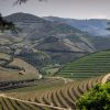 Doura-Valley-wine-growing-region-Portugal