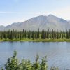 Landscape-from-train-Alaska