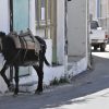 Crete donkey parked
