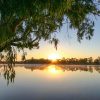 Sunrise on the Murray River