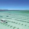 Coffin Bay oyster farming in South Australia