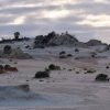 Walls of China’s eerie moonscape at sunset, Mungo National Park