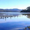 Merimbula lake oyster farm, the far south coast on NSW