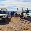 Arkaroola Ridgetop 4WD experience