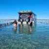 All aboard the Coffin Bay oyster boat