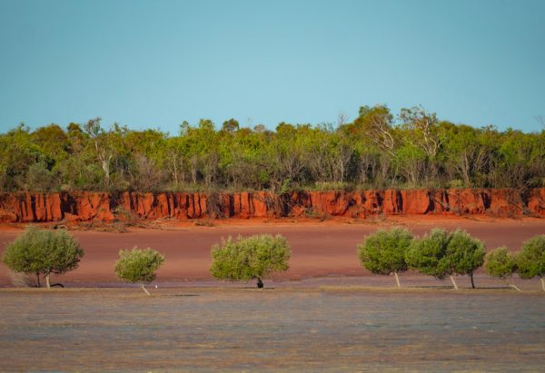 Red,Sand,Blue,Water,And,Green,Mangroves,At,Roebuck,Bay