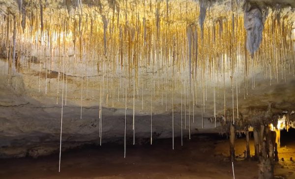 The World heritage-listed Naracoorte Caves copy